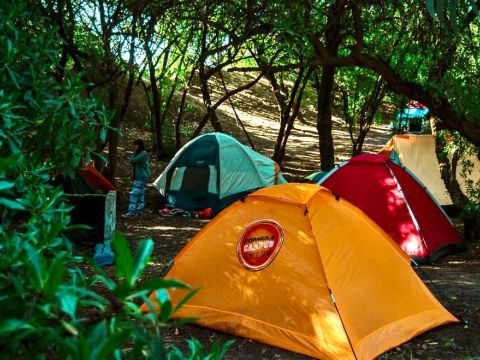 camping-miguel-lillo7-563783440.jpg