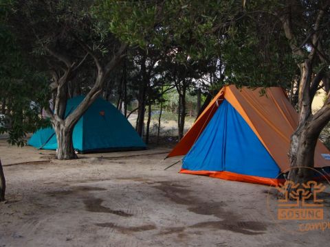 camping-sosunc1-3568759830.jpg