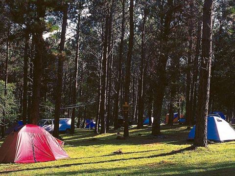camping-tannenwald-1197112714.jpg