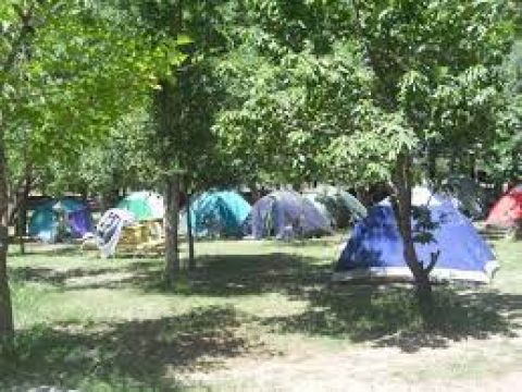 camping-vinas-de-vieytes1-3421523398.jpg