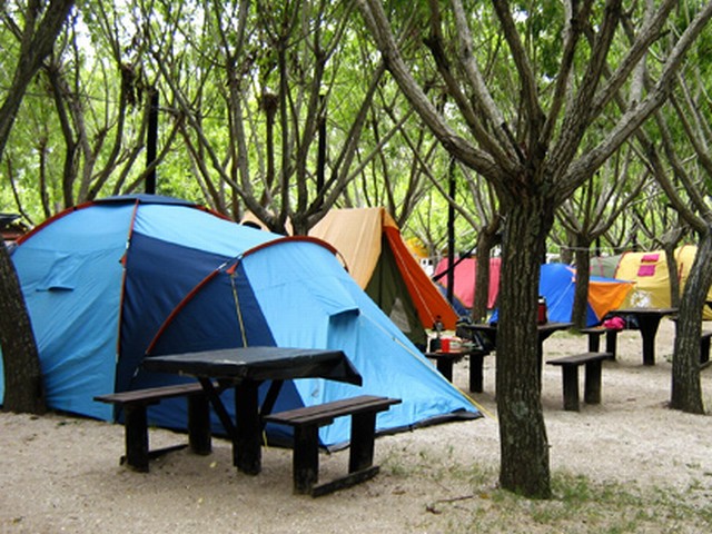 Camping Los 3 Pinos