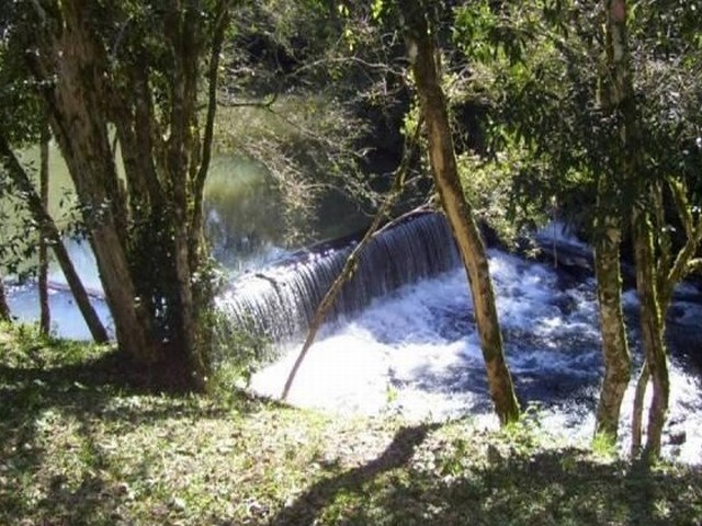 Camping del Complejo Tío Mario