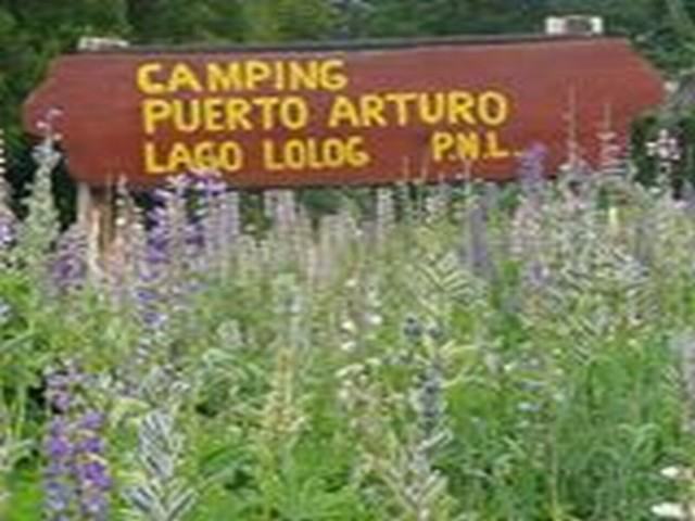 Puerto Arturo. Campamento Agreste