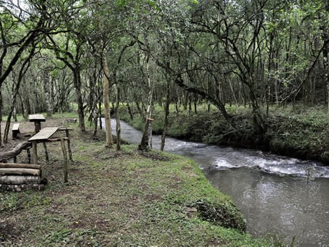 Agrocamping La Campina