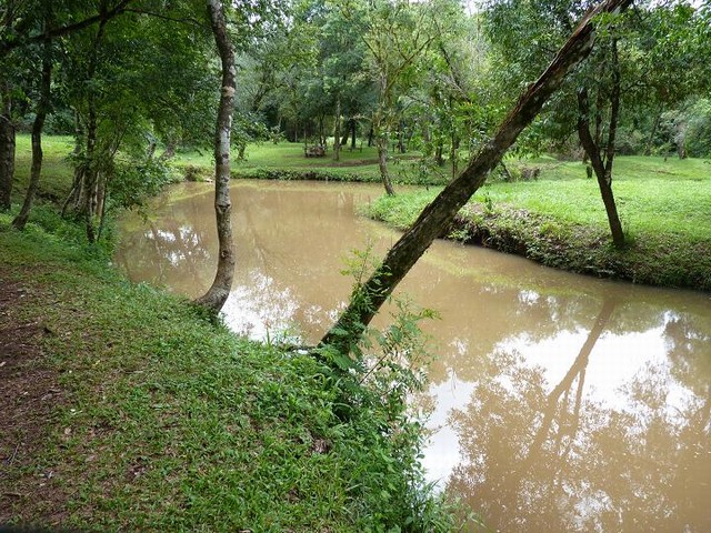 Camping Municipal de Arroyo del Medio