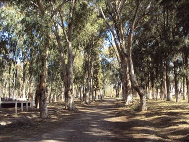 Camping Municipal de Chimbas