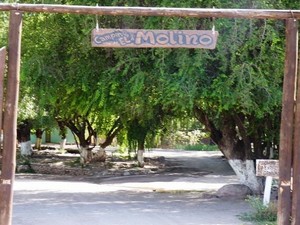Camping Municipal El Molino