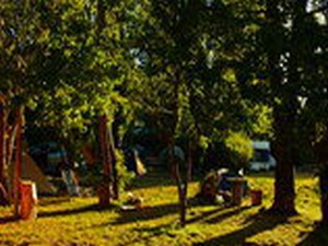 Camping Organizado El Molino