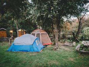 Camping y Hostel Los Coihues