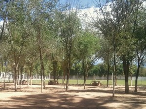 Camping del Complejo Municipal de Guachipas