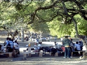 Camping Municipal de La Quebrada 