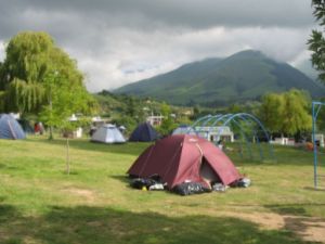 Los Cardoncitos de Juana