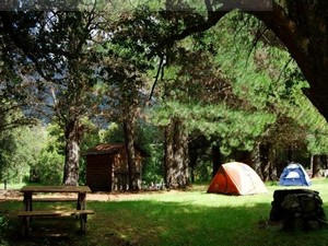 Camping Organizado El Paraíso