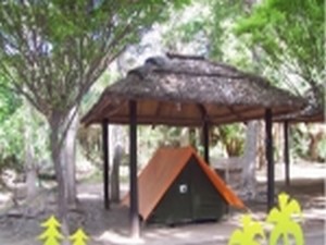 Camping Suizo