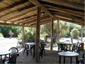 Hostel-Camping El Sol