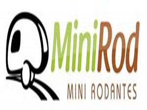 Minirod