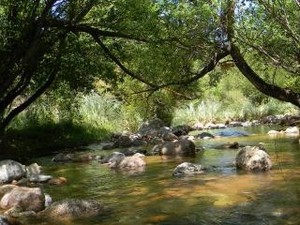 Camping El Algarrobo del Benítez