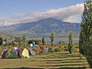 Cocodrilo's Camping