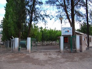 Camping Municipal de Calingasta