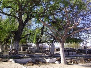 Camping de Anillaco. De la Unión Vecinal de Anillaco. 