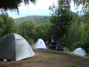 Camping, Dormis y Bungalows Osa Mayor