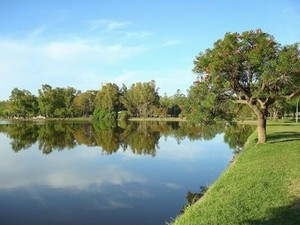 Camping Municipal de Navarro